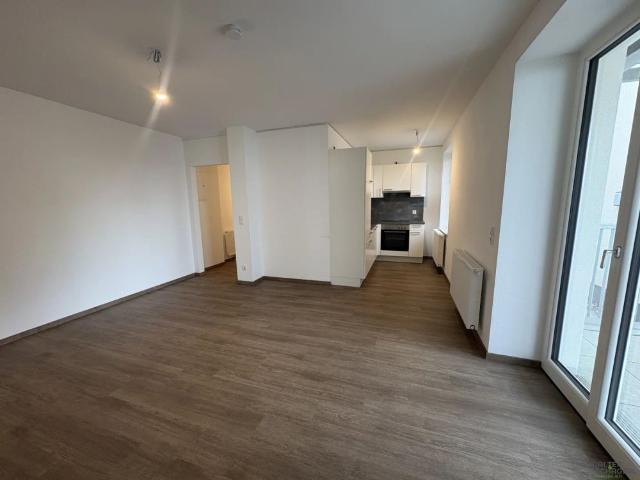 Wohlfühlwohnung mit moderner Wohnküche