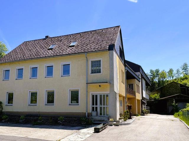 Wohn u. Geschäftshaus mit XXL Traumwohnung
