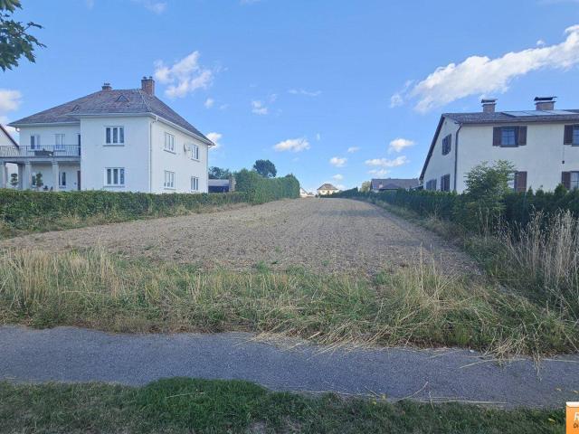 Wohn und/oder Geschäftshaus am Stadtplatz von Vitis mit Grünfläche und Nebengebäuden 1236m2 und Baugrund 3261m2