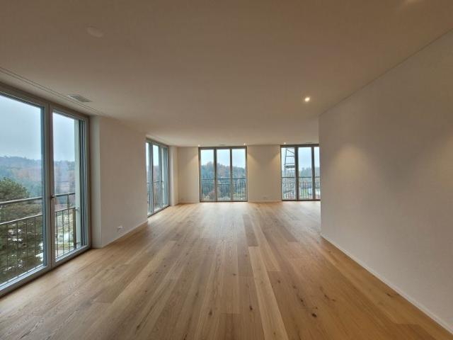 Wohngenuss auf höchstem Niveau – 3.5 Zimmer Wohnung mit fantastischer See und Bergsicht