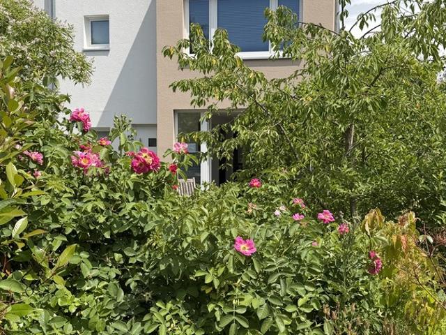 Wohnen am Leinepark