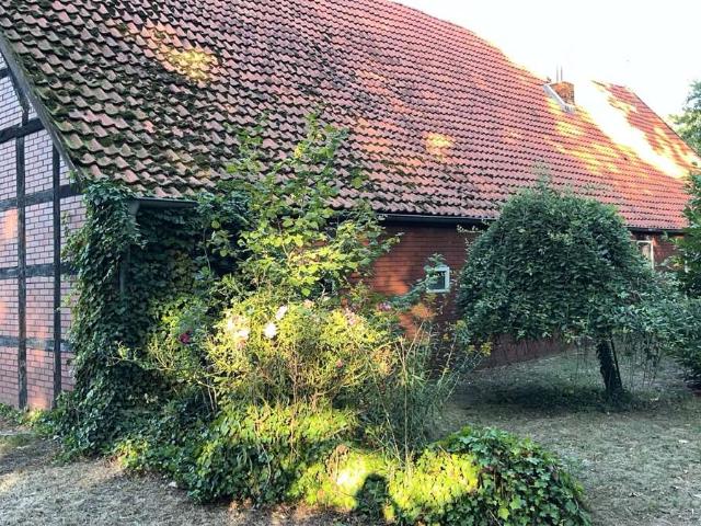 Wohnen am Mühlenbach: Bauernhaus in Lienen zur Sanierung oder Neubau/ Pferdehaltung möglich