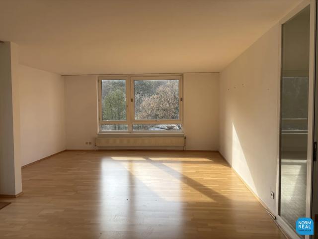 Terrassenwohnung am Pötzleinsdorfer Park