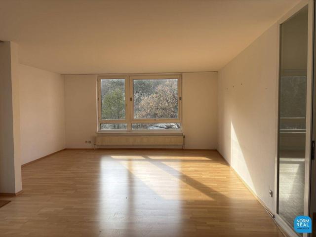 Terrassenwohnung am Pötzleinsdorfer Park