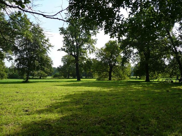 Wohnen am Robert Koch Park