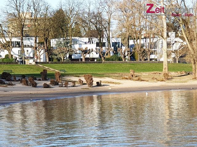 Wohnen am Rhein – Komfortables Apartment in direkter Rheinnähe – zeitwohnen.de