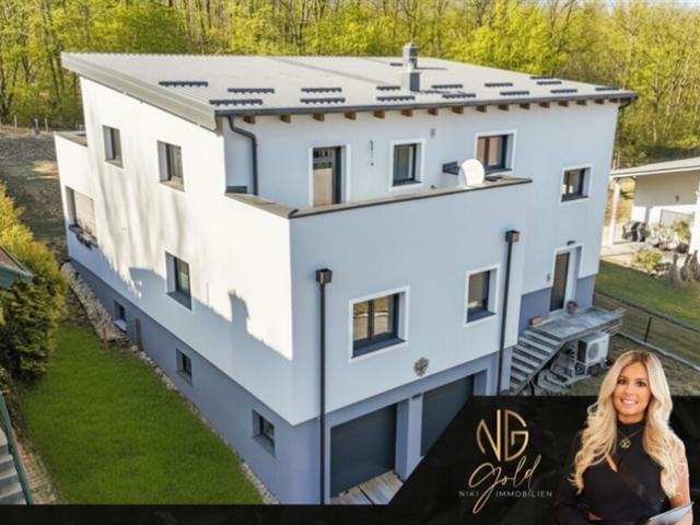 Wohnen am Waldrand – Einfamilienwohnhaus mit 220 m² Wohnfläche, voll unterkellert und Nebengebäude Nähe Oberpullendorf
