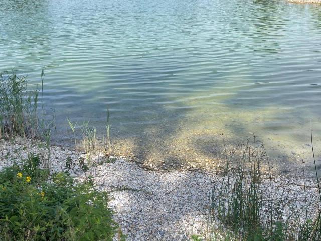 Wohnen am Waldsee in Neuaigen Charmantes Haus in ruhiger Naturlage mit Seezugang