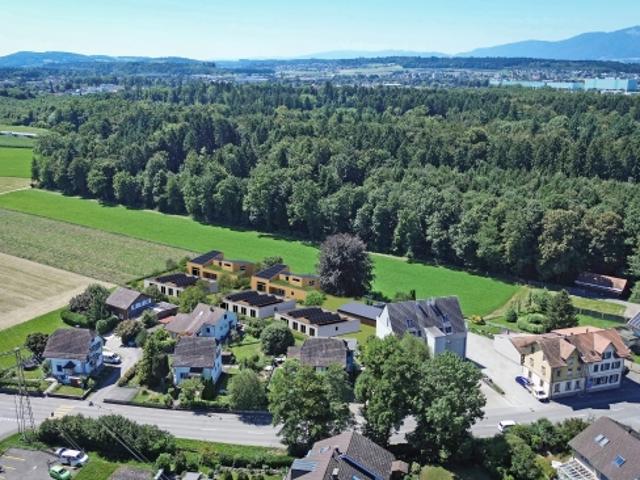 Wohnen auf einer Ebene Modernes Einfamilienhaus mit Terrasse