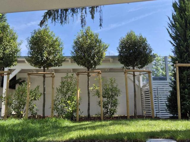 „Wohnen auf höchstem Niveau – Exklusive Altbauvilla mit modernem Luxus in Hietzing“ | ZELLMANN IMMOBILIEN