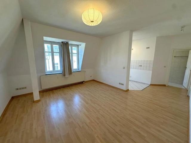 Wohnen im beliebtem Untermhaus! Schöne 1,5 Raum Wohnung nahe dem Hofweisenpark und der FH!