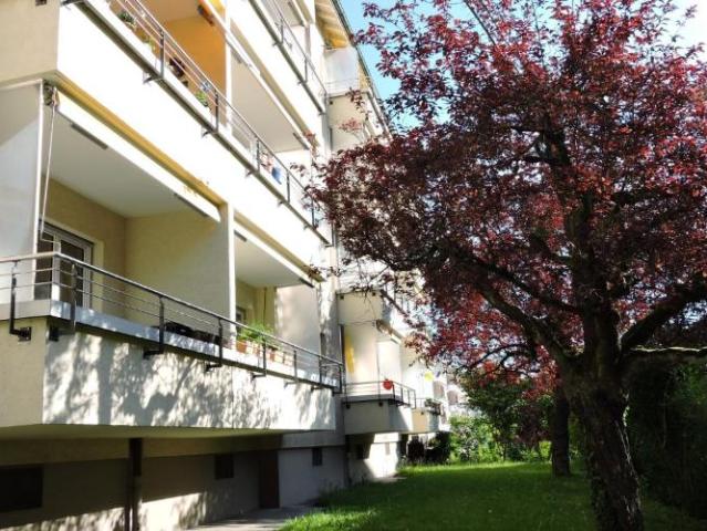 Wohnen im beliebten Fischermätteli Quartier
