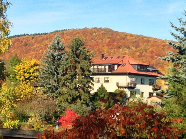Wohnen im Grünen, wunderbare Aussicht vom Balkon, Küchenmöbel und Carport