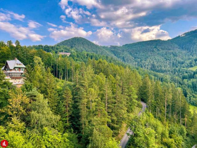 KAUFANBOT LIEGT VOR: Wohnen im Herzen des historischen Höhenluftkurorts Semmering!