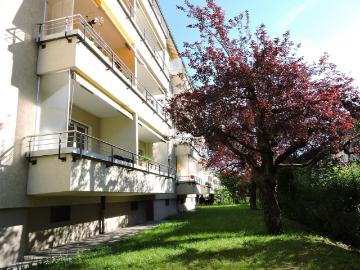 Wohnen im schönen Fischermätteli Quartier?
