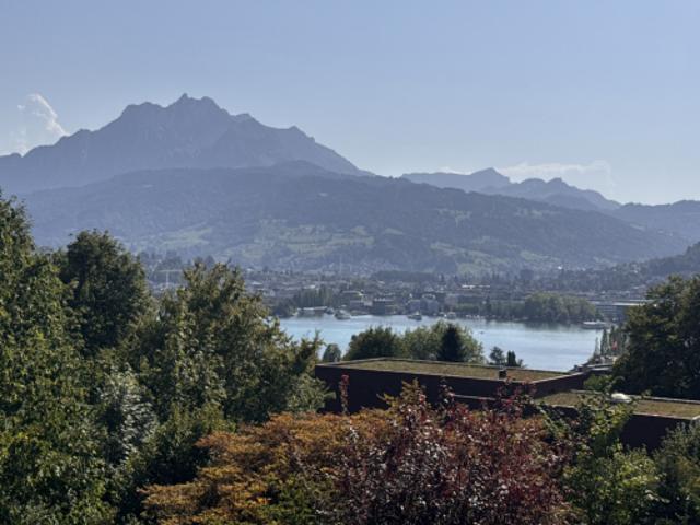 Wohnen im ruhigen Quartier Bellerive in 6006 Luzern