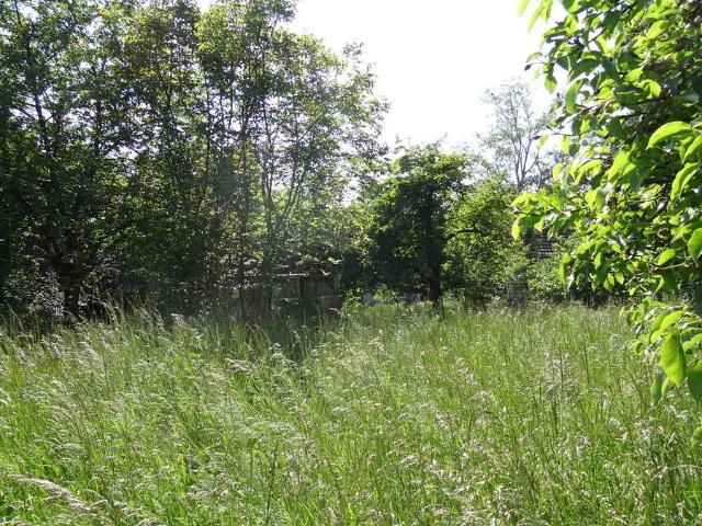 Wohnen in gefragtester Lage! 2,5 Geschosse bietet mit 157m² als Teil eines Doppelh. reichlich Platz