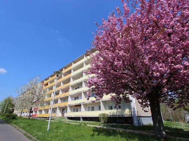 Wohnen in Gera Lusan in einer praktischen 1 Raumwohnung
