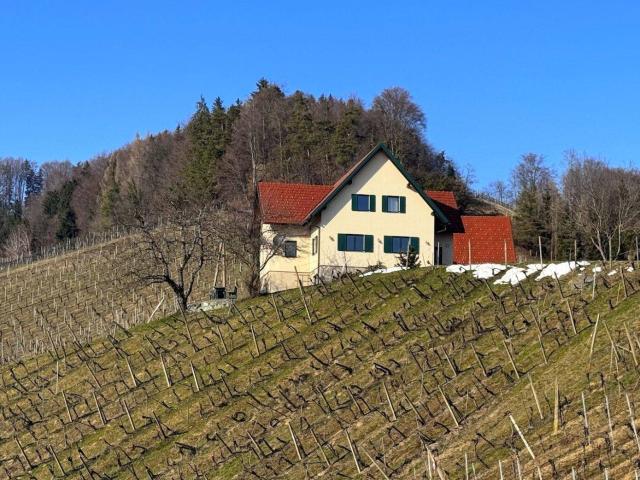 Wohnen in den WEINBERGEN