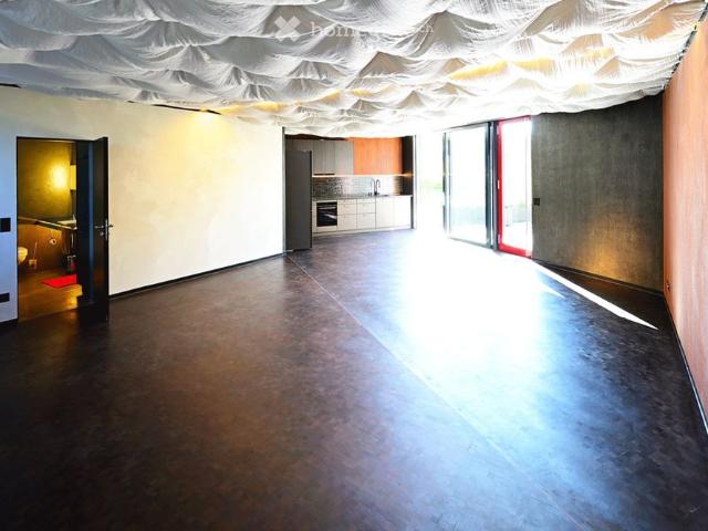 wohnen in einem Kunstwerk über dem Fricktal: 1.5 Zimmer Loft im Erdgeschoss – Frick, Höhenweg 38