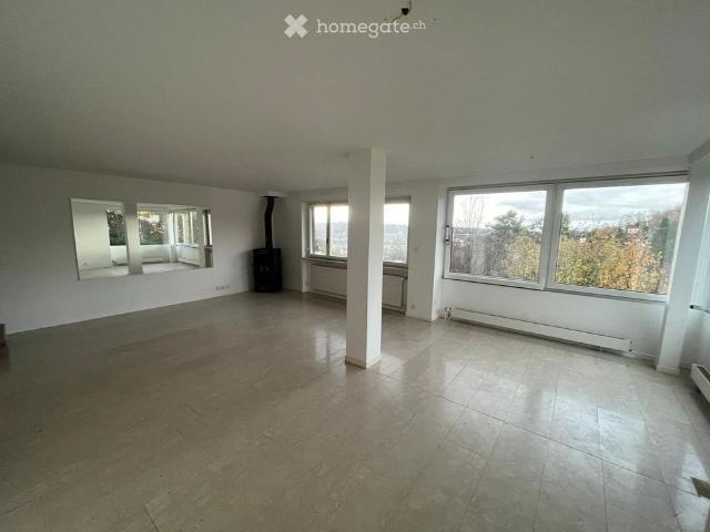 Wohnen in Münchenstein im Grünen mit Blick über Basel