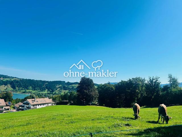 Wohnen oberhalb des Alpsees – Eigentumswohnung mit traumhafter Lage im Allgäu