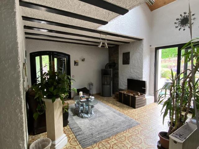 Wohnen mit Mainblick Gepflegtes Einfamilienhaus mit Ferienwohnungen, Pool & traumhaftem Garten