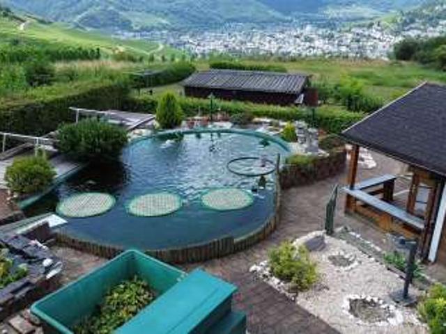Wohnen mit Moselblick: Modernisiertes Einfamilienhaus mit großem Grundstück