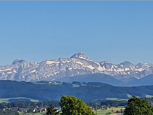 Wohnen mit Alpsteinblick!