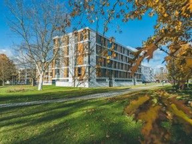 Wohnen mit Anspruch – Stadtgarten Wellekamp