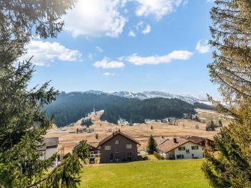 Wohnen mit Bergsicht in Wildhaus