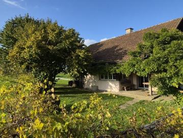 Zuben, Langrickenbach, Bezirk Kreuzlingen, Thurgau