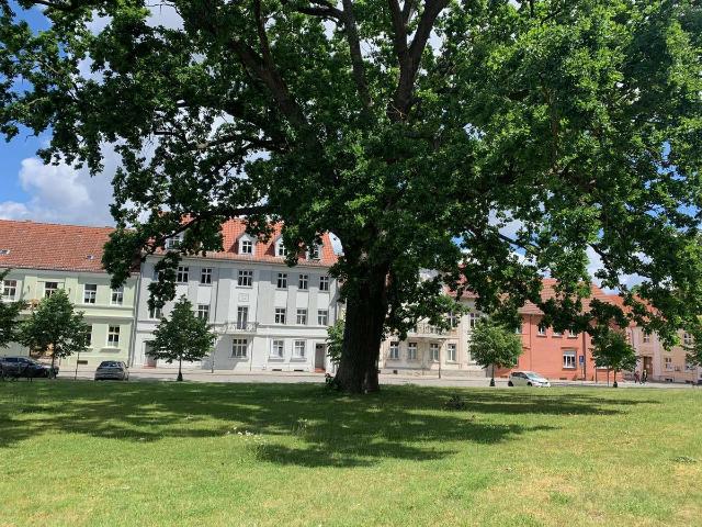 Wohnen mit Charakter: 2 Zimmer Wohnung in historischem Gebäude im Zentrum von Zehdenick
