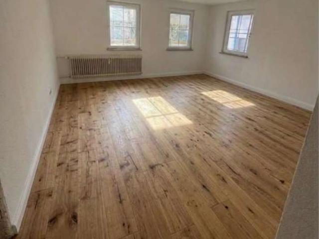 Wohnen mit Charakter: 3 Zimmer Wohnung in Horb am Neckar
