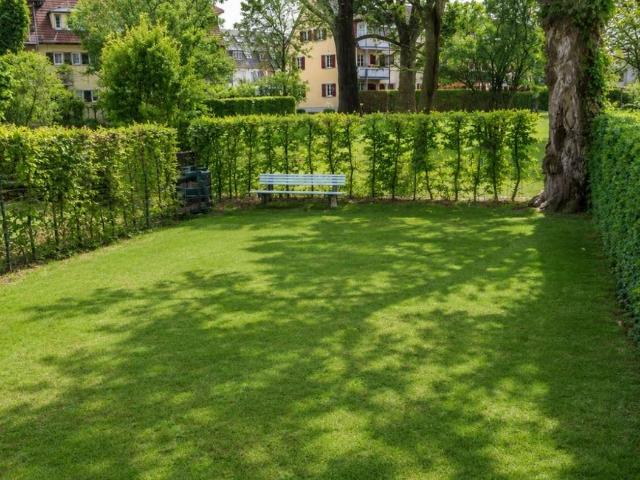 Wohnen mit Garten Oase: 2 Zimmer Wohnung in München Ramerdorf/Haidhausen