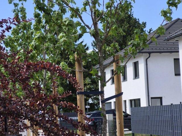 Wohnen mit Lebensqualität – ruhig, modern und zentral