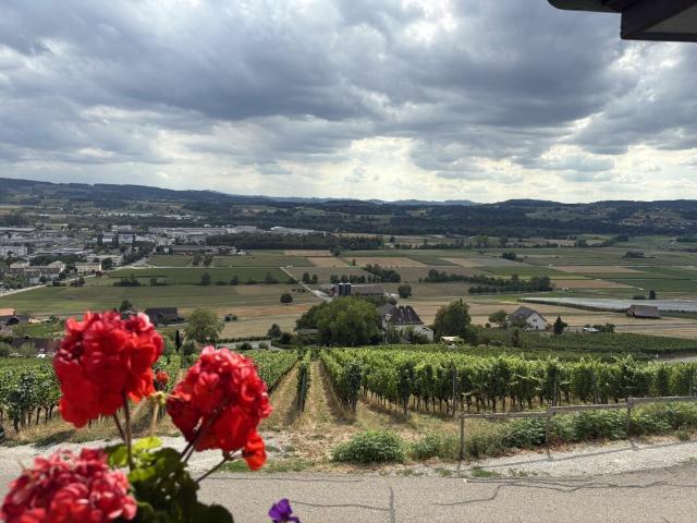 Wohnen mit Weitblick charmante 2 Zimmer Wohnung am Ottoberg