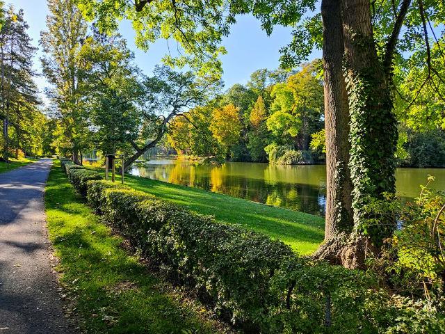 Wohnen, wo andere spazieren gehen: 3 Zimmer Eigentumswohnung mit Garten direkt an der Oker