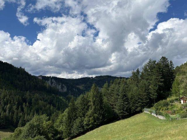 Wohnen, wo andere Urlaub machen – charmante Ferienwohnung am Semmering