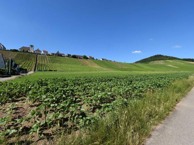 Wohnen unterhalb vom Weinberg
