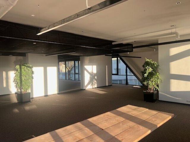 Wohnen und Arbeiten in Gallneukirchen Zwei Wohneinheiten Plus Geschäftslokal auf 258 m²
