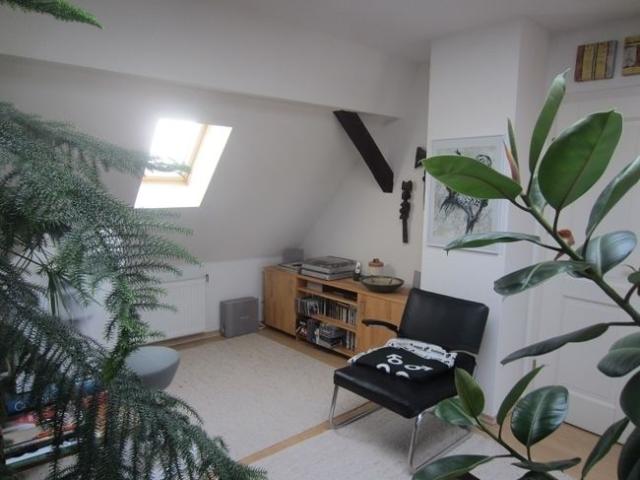 Wohnen über zwei Ebenen 2 Dachterrassen und 1 Balkon herrlicher Blick über Leipzig. 2 Zimmer