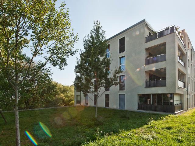 Wohnen über Allschwil