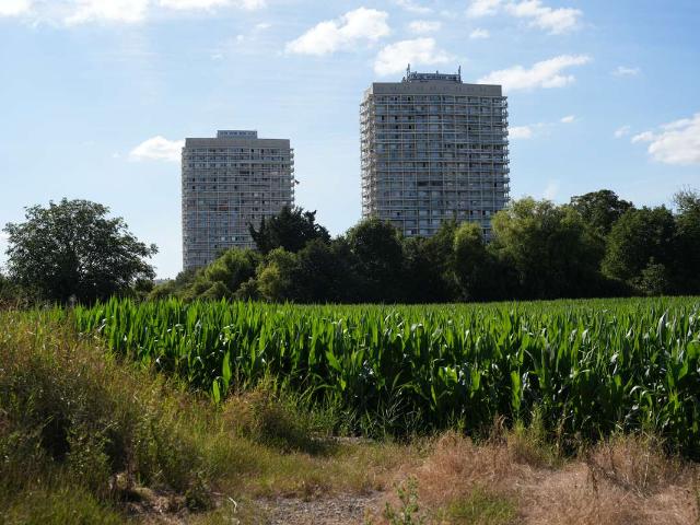 Wohnen über den Dächern von Ludwigshafen – 2 Zi. Wohnung im 21. OG mit Balkon & Weitblick