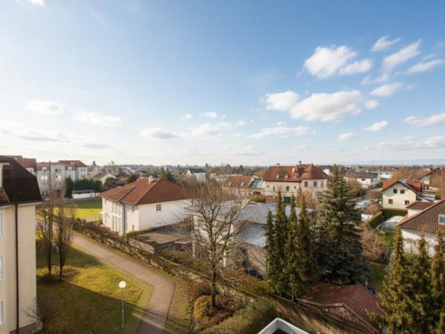 Wohnen über den Dächern von Tulln an der Donau – 2 Zimmer mit sonniger Dachterrasse
