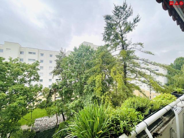 Wohnkomfort in der obersten Etage – 2 Zimmer Wohnung mit geschützter Loggia in Linz/Oed! ACHTUNG Wohnung wird soeben saniert! Bezug 01. September 2026!