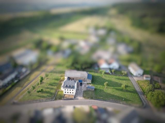 Wohnhaus und Nebengebäude auf außergewöhnlich großem Grundstück