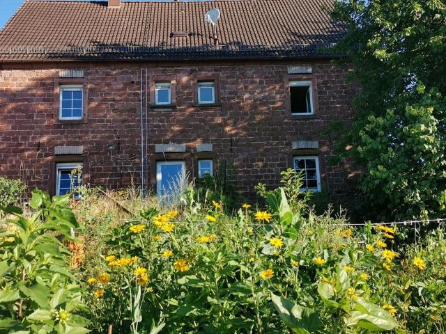Wohnhaus und Pferdehof in wunderschöner Natur & Panoramalage