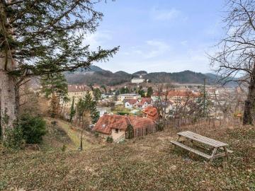 Wohnhaus mit drei Wohneinheiten!