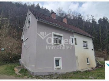 Wohnhaus mit Potenzial in Stadtrandlage